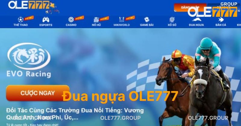 Sản phẩm game đua ngựa trên OLE777 mới mẻ và cực thú vị